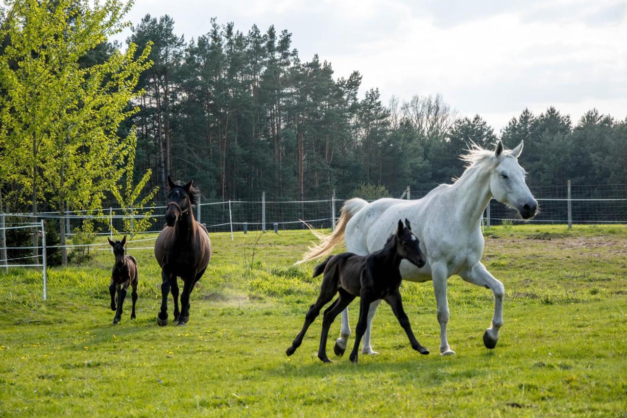 Modern Rancho - Apartamenty Nad Rzeka, Przy Stadninie Koni Kruszyna  Esterno foto