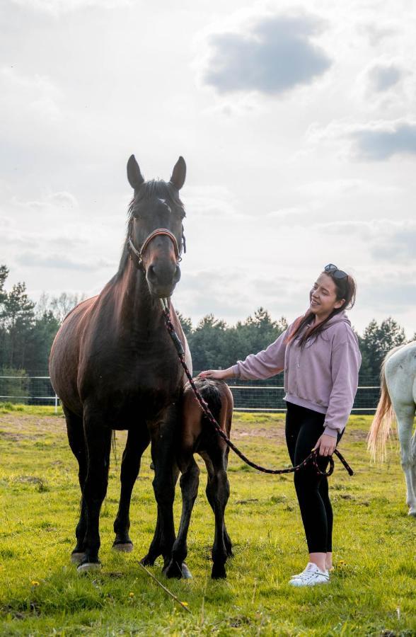 Modern Rancho - Apartamenty Nad Rzeka, Przy Stadninie Koni Kruszyna  Esterno foto